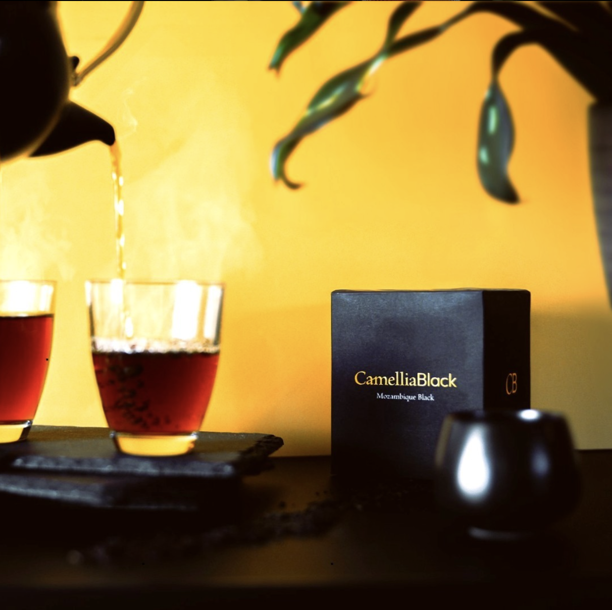 CamelliaBlack Tea Product Photo